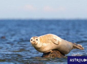 Διάβασε ΔΩΡΕΑΝ την προσωπική σου πρόβλεψη, για σήμερα 10/08/2023
