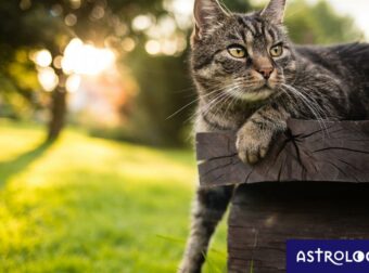 Διάβασε ΔΩΡΕΑΝ την προσωπική σου πρόβλεψη, για σήμερα 12/08/2023