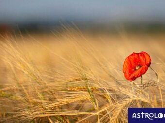 Διάβασε ΔΩΡΕΑΝ την προσωπική σου πρόβλεψη, για σήμερα 13/08/2023