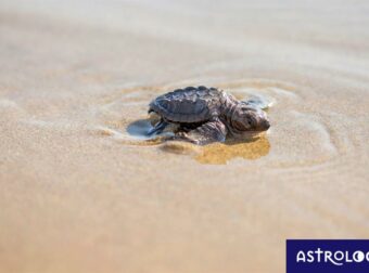 Διάβασε ΔΩΡΕΑΝ την προσωπική σου πρόβλεψη, για σήμερα 14/08/2023