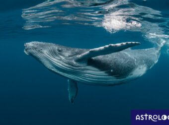 Διάβασε ΔΩΡΕΑΝ την προσωπική σου πρόβλεψη, για σήμερα 15/08/2023