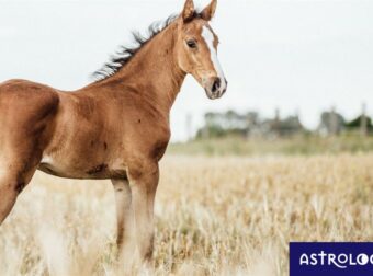 Διάβασε ΔΩΡΕΑΝ την προσωπική σου πρόβλεψη, για σήμερα 16/08/2023