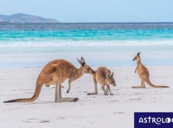 Διάβασε ΔΩΡΕΑΝ την προσωπική σου πρόβλεψη, για σήμερα 18/08/2023