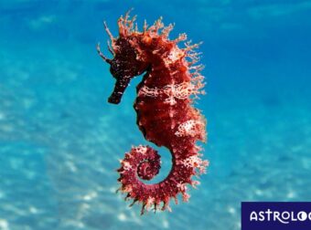 Διάβασε ΔΩΡΕΑΝ την προσωπική σου πρόβλεψη, για σήμερα 22/08/2023