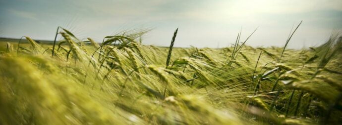 Διάβασε ΔΩΡΕΑΝ την προσωπική σου πρόβλεψη, για σήμερα 23/08/2023