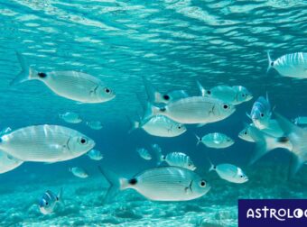 Διάβασε ΔΩΡΕΑΝ την προσωπική σου πρόβλεψη, για σήμερα 24/08/2023