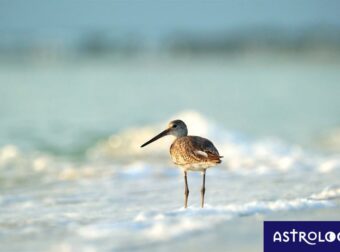 Διάβασε ΔΩΡΕΑΝ την προσωπική σου πρόβλεψη, για σήμερα 26/08/2023