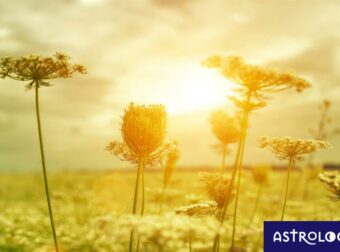 Διάβασε ΔΩΡΕΑΝ την προσωπική σου πρόβλεψη, για σήμερα 27/08/2023