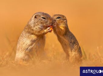 Διάβασε ΔΩΡΕΑΝ την προσωπική σου πρόβλεψη, για σήμερα 28/08/2023