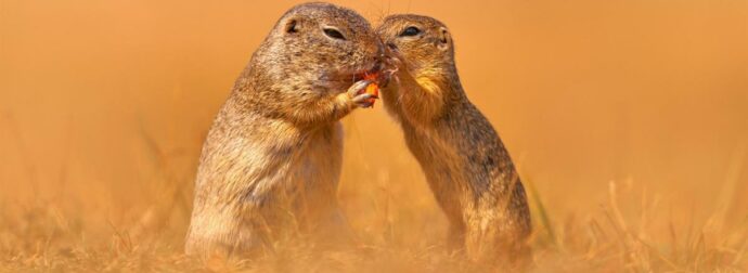 Διάβασε ΔΩΡΕΑΝ την προσωπική σου πρόβλεψη, για σήμερα 28/08/2023