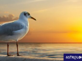 Διάβασε ΔΩΡΕΑΝ την προσωπική σου πρόβλεψη, για σήμερα 29/08/2023