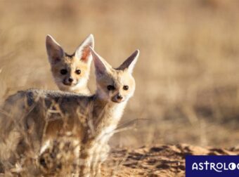 Διάβασε ΔΩΡΕΑΝ την προσωπική σου πρόβλεψη, για σήμερα 31/08/2023