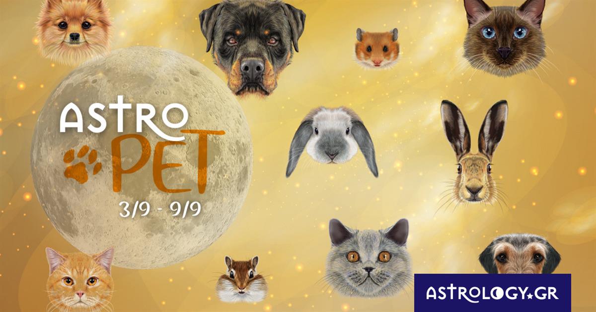 AstroPet από 03/09 έως 09/09: Εβδομαδιαίες προβλέψεις για το κατοικίδιό σου