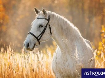 Διάβασε ΔΩΡΕΑΝ την προσωπική σου πρόβλεψη, για σήμερα 02/09/2023