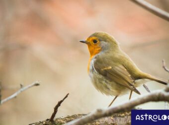 Διάβασε ΔΩΡΕΑΝ την προσωπική σου πρόβλεψη, για σήμερα 06/09/2023