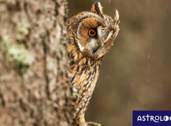 Διάβασε ΔΩΡΕΑΝ την προσωπική σου πρόβλεψη, για σήμερα 08/09/2023