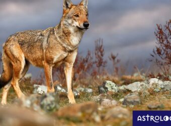 Διάβασε ΔΩΡΕΑΝ την προσωπική σου πρόβλεψη, για σήμερα 10/09/2023