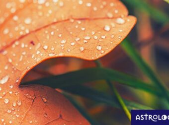 Διάβασε ΔΩΡΕΑΝ την προσωπική σου πρόβλεψη, για σήμερα 11/09/2023