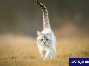 Διάβασε ΔΩΡΕΑΝ την προσωπική σου πρόβλεψη, για σήμερα 12/09/2023