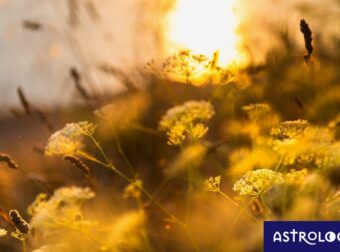 Διάβασε ΔΩΡΕΑΝ την προσωπική σου πρόβλεψη, για σήμερα 13/09/2023