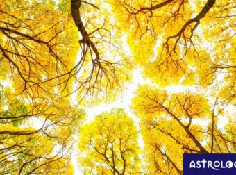 Διάβασε ΔΩΡΕΑΝ την προσωπική σου πρόβλεψη, για σήμερα 15/09/2023