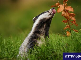 Διάβασε ΔΩΡΕΑΝ την προσωπική σου πρόβλεψη, για σήμερα 16/09/2023