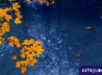 Διάβασε ΔΩΡΕΑΝ την προσωπική σου πρόβλεψη, για σήμερα 19/09/2023