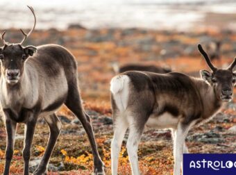 Διάβασε ΔΩΡΕΑΝ την προσωπική σου πρόβλεψη, για σήμερα 20/09/2023