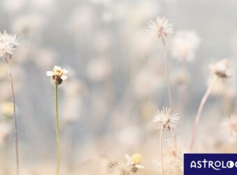 Διάβασε ΔΩΡΕΑΝ την προσωπική σου πρόβλεψη, για σήμερα 21/09/2023
