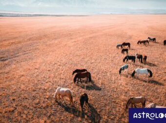 Διάβασε ΔΩΡΕΑΝ την προσωπική σου πρόβλεψη, για σήμερα 22/09/2023