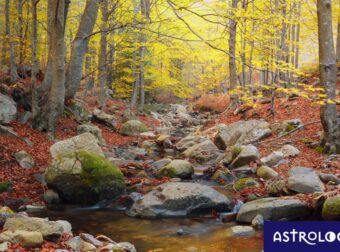 Διάβασε ΔΩΡΕΑΝ την προσωπική σου πρόβλεψη, για σήμερα 28/09/2023