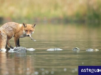 Διάβασε ΔΩΡΕΑΝ την προσωπική σου πρόβλεψη, για σήμερα 29/09/2023
