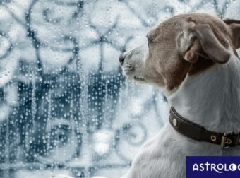 Δύο ζώδια που θα έχουν χάλια μέρα, σήμερα 10/09