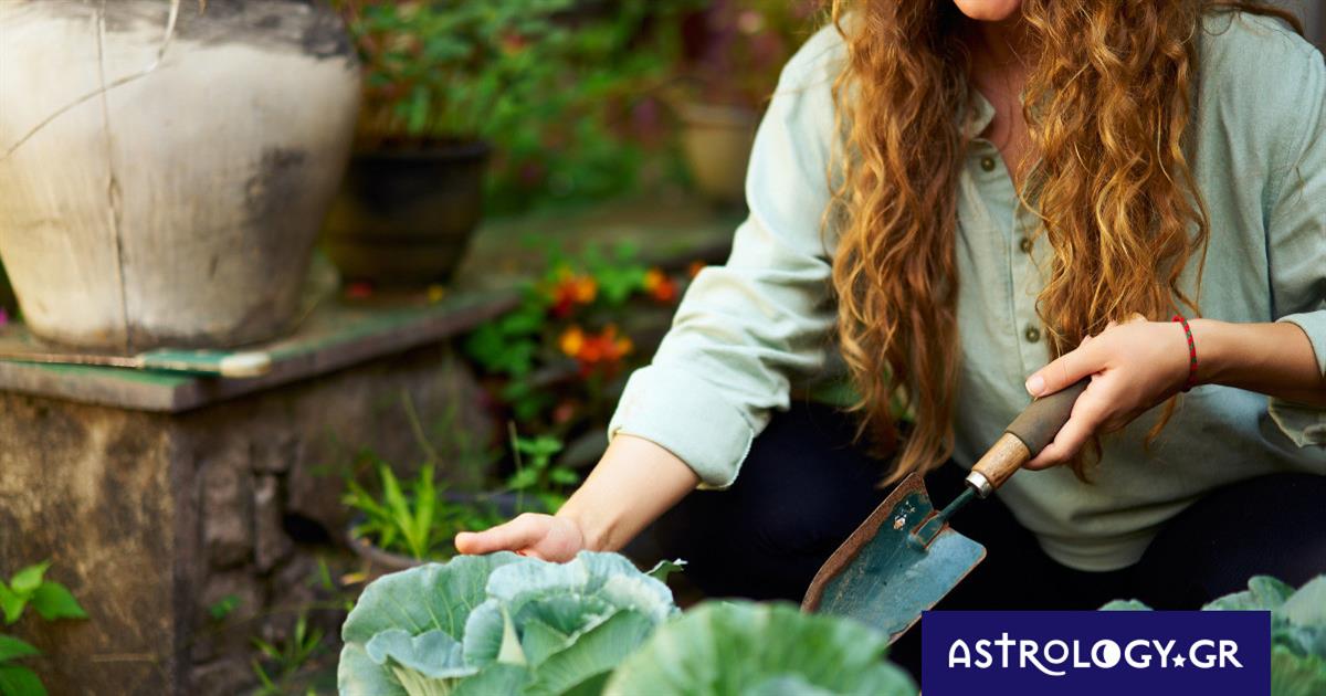 Κι όμως! Η θέση της Σελήνης παίζει σημαντικό ρόλο στην κηπουρική