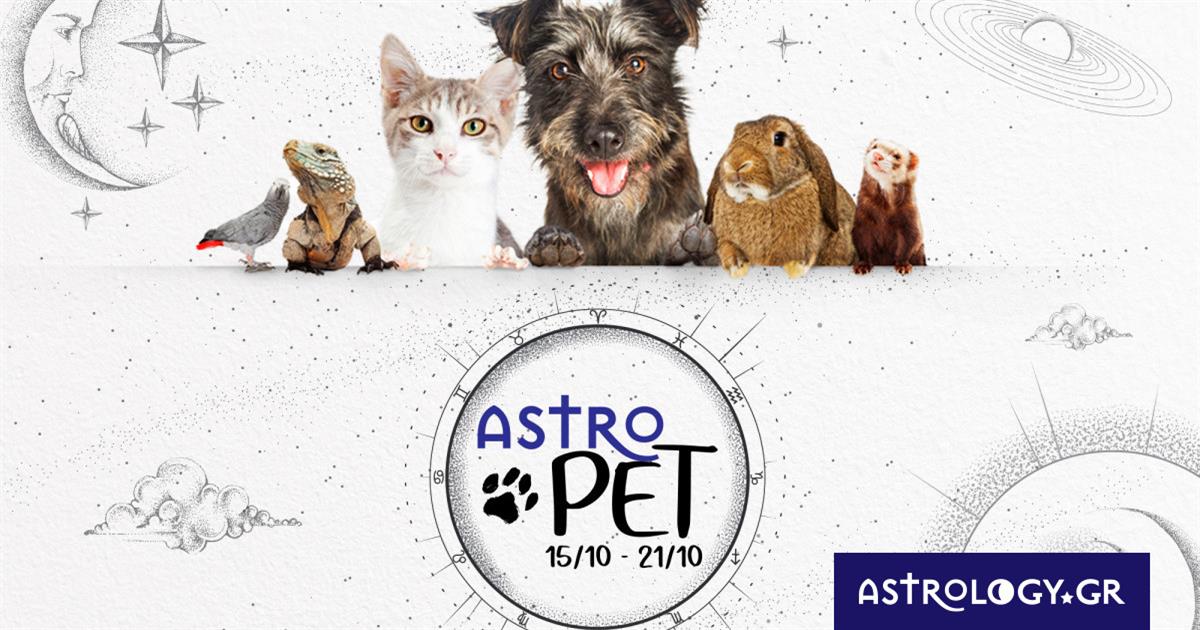 AstroPet από 15/10 έως 21/10: Εβδομαδιαίες προβλέψεις για το κατοικίδιό σου