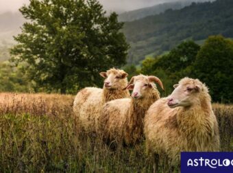 Διάβασε ΔΩΡΕΑΝ την προσωπική σου πρόβλεψη, για σήμερα 03/10/2023