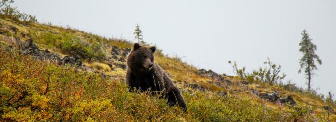 Διάβασε ΔΩΡΕΑΝ την προσωπική σου πρόβλεψη, για σήμερα 11/10/2023