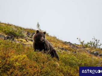 Διάβασε ΔΩΡΕΑΝ την προσωπική σου πρόβλεψη, για σήμερα 09/10/2023