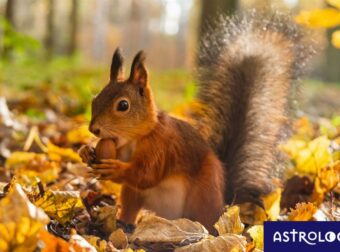 Διάβασε ΔΩΡΕΑΝ την προσωπική σου πρόβλεψη, για σήμερα 17/10/2023