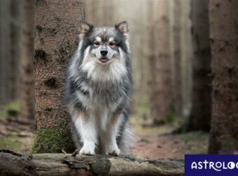 Διάβασε ΔΩΡΕΑΝ την προσωπική σου πρόβλεψη, για σήμερα 21/10/2023