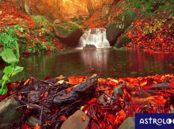 Διάβασε ΔΩΡΕΑΝ την προσωπική σου πρόβλεψη, για σήμερα 22/10/2023