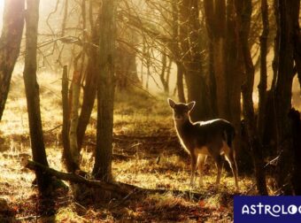 Διάβασε ΔΩΡΕΑΝ την προσωπική σου πρόβλεψη, για σήμερα 23/10/2023