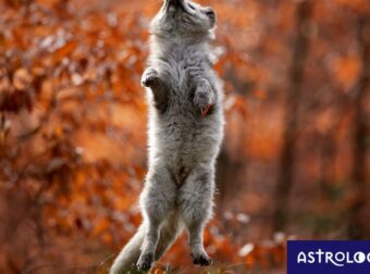 Διάβασε ΔΩΡΕΑΝ την προσωπική σου πρόβλεψη, για σήμερα 28/10/2023