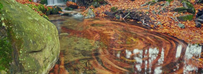 Διάβασε ΔΩΡΕΑΝ την προσωπική σου πρόβλεψη, για σήμερα 30/10/2023
