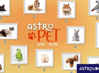 AstroPet από 08/10 έως 14/10: Εβδομαδιαίες προβλέψεις για το κατοικίδιό σου