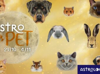 AstroPet από 29/10 έως 04/11: Εβδομαδιαίες προβλέψεις για το κατοικίδιό σου