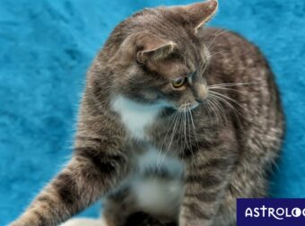 Δύο ζώδια που θα έχουν έντονη συναισθηματική αστάθεια σήμερα, 02/10