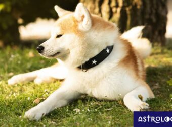 Δύο ζώδια που θα είναι όσα πάνε κι όσα ‘ρθουνε σήμερα, 11/10