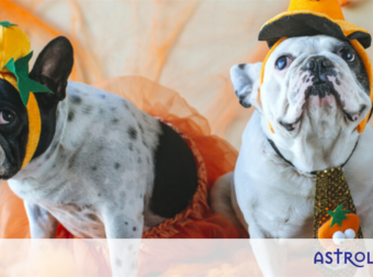 Τα 4 ζώδια που μισούν τις Απόκριες