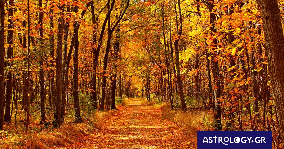 Διάβασε ΔΩΡΕΑΝ την προσωπική σου πρόβλεψη, για σήμερα 03/11/2023